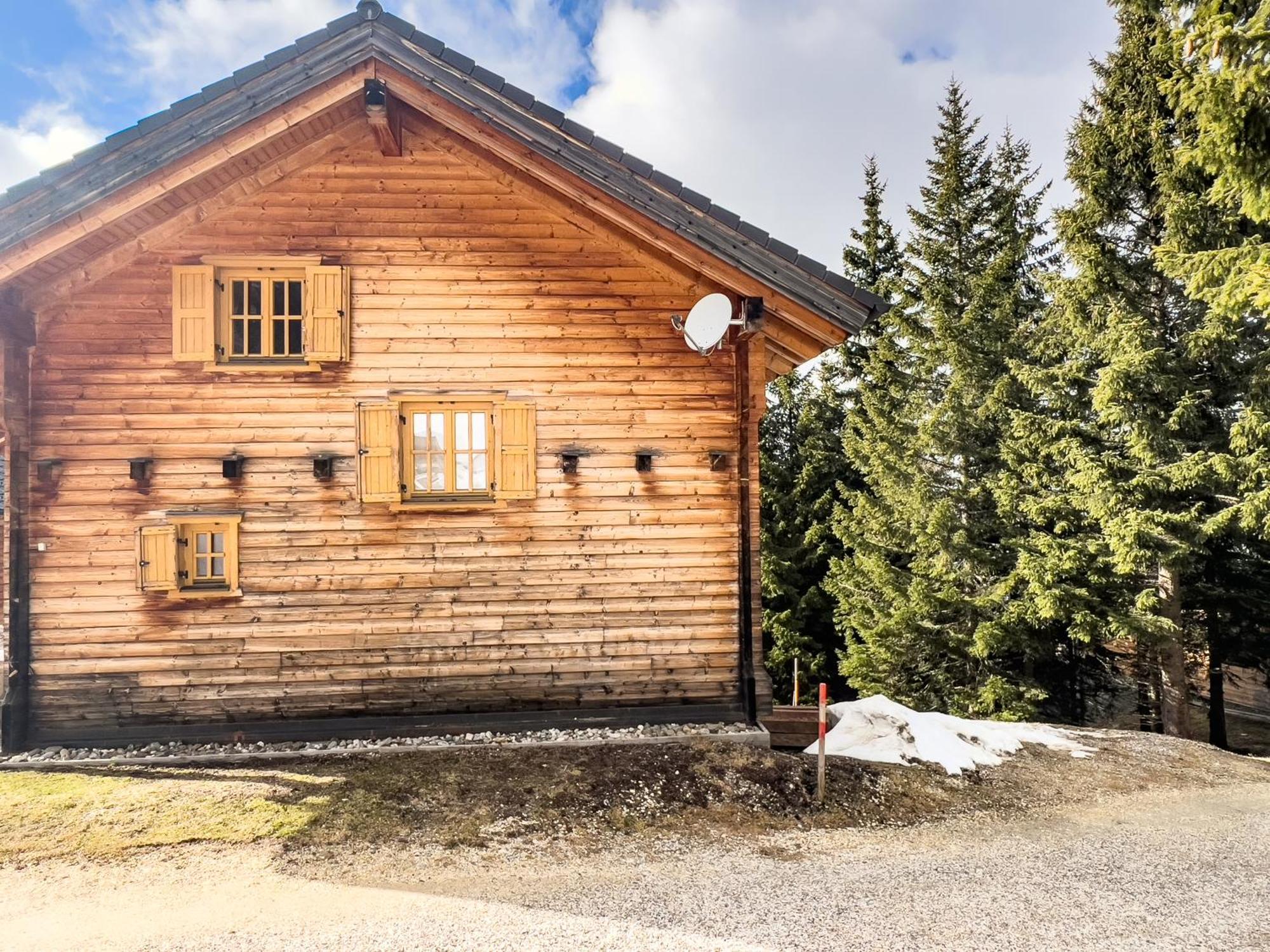 1A Chalet Enzianhuette - Ski Fahren Und Indoor Sauna Villa Elsenbrunn Exteriör bild