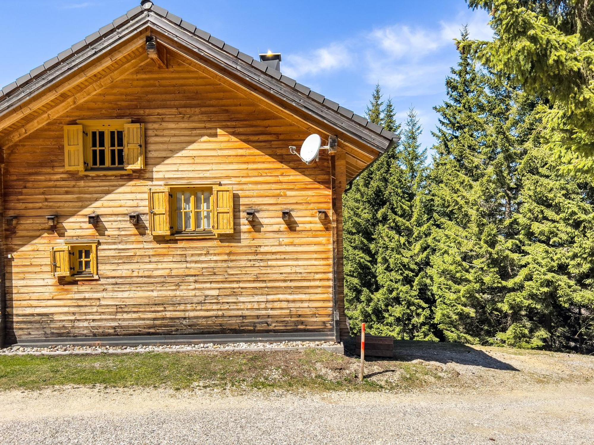 1A Chalet Enzianhuette - Ski Fahren Und Indoor Sauna Villa Elsenbrunn Exteriör bild